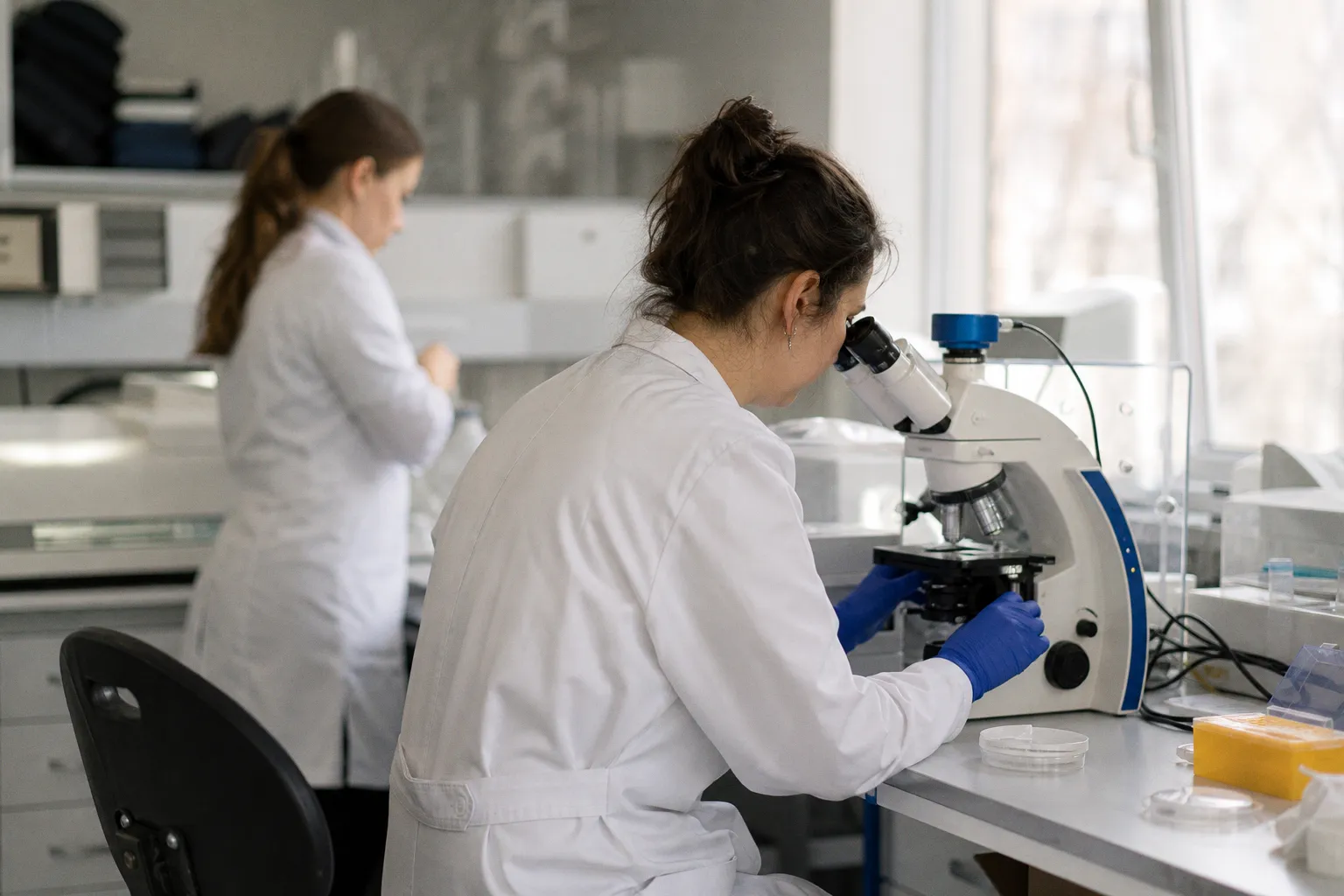 Гранты dsm-firmenich 2026: фокус науки на долголетии